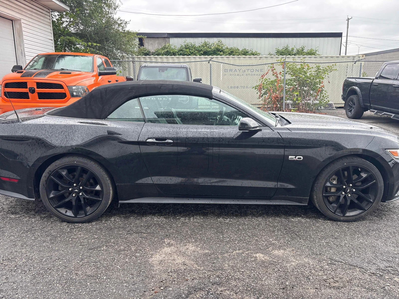 Ford Mustang * GT Premium * CARFAX * ЦЕНА ДО БГ, снимка 4 - Автомобили и джипове - 55838193