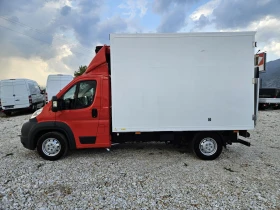 Fiat Ducato ,   | Mobile.bg    2