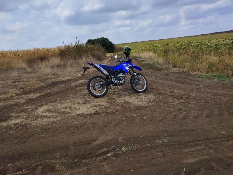 Yamaha Wr Wrx250