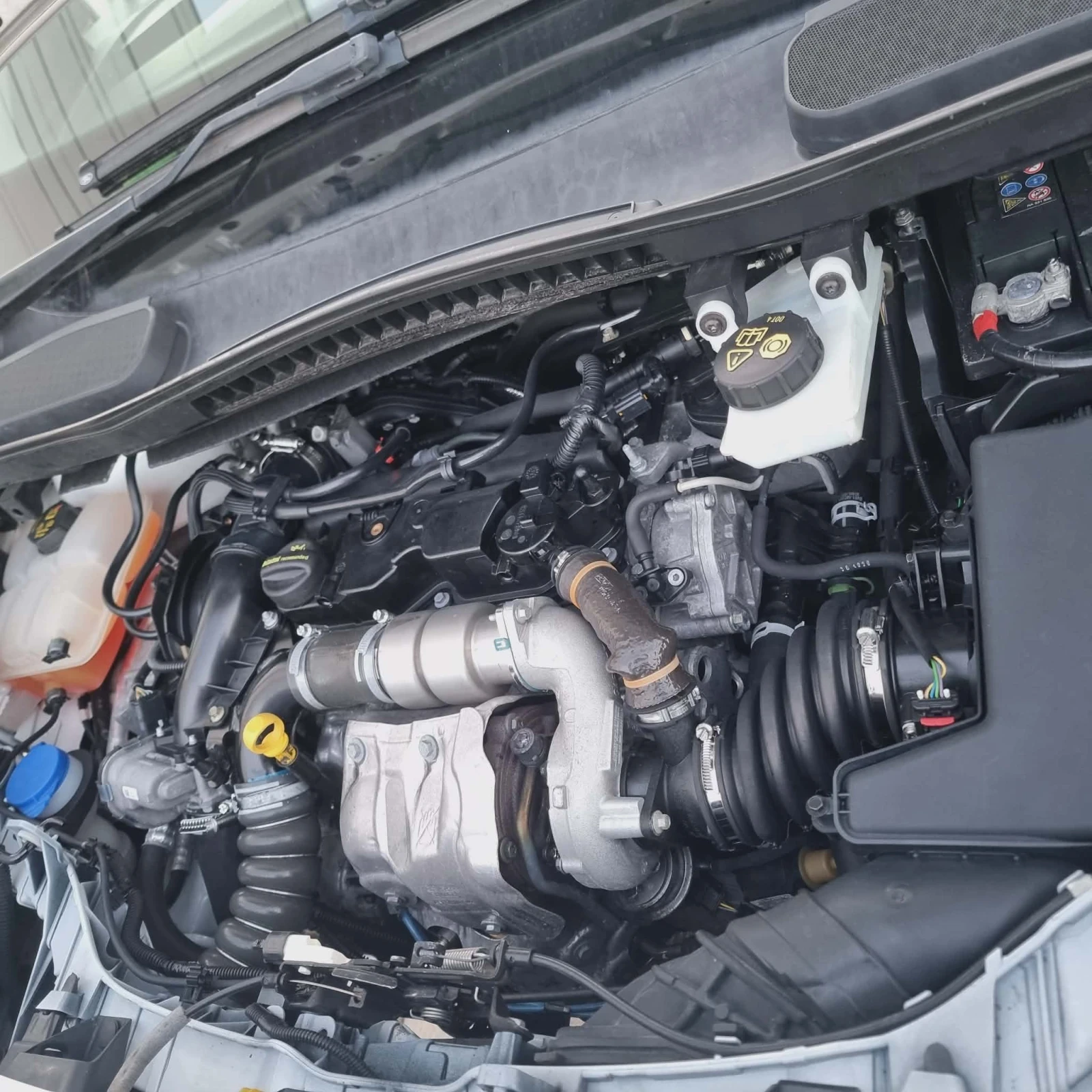 Ford Connect MAXI - изображение 7