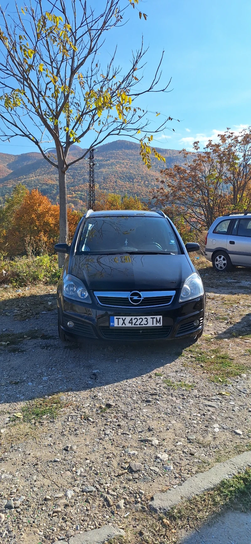 Opel Zafira, снимка 1 - Автомобили и джипове - 47800846