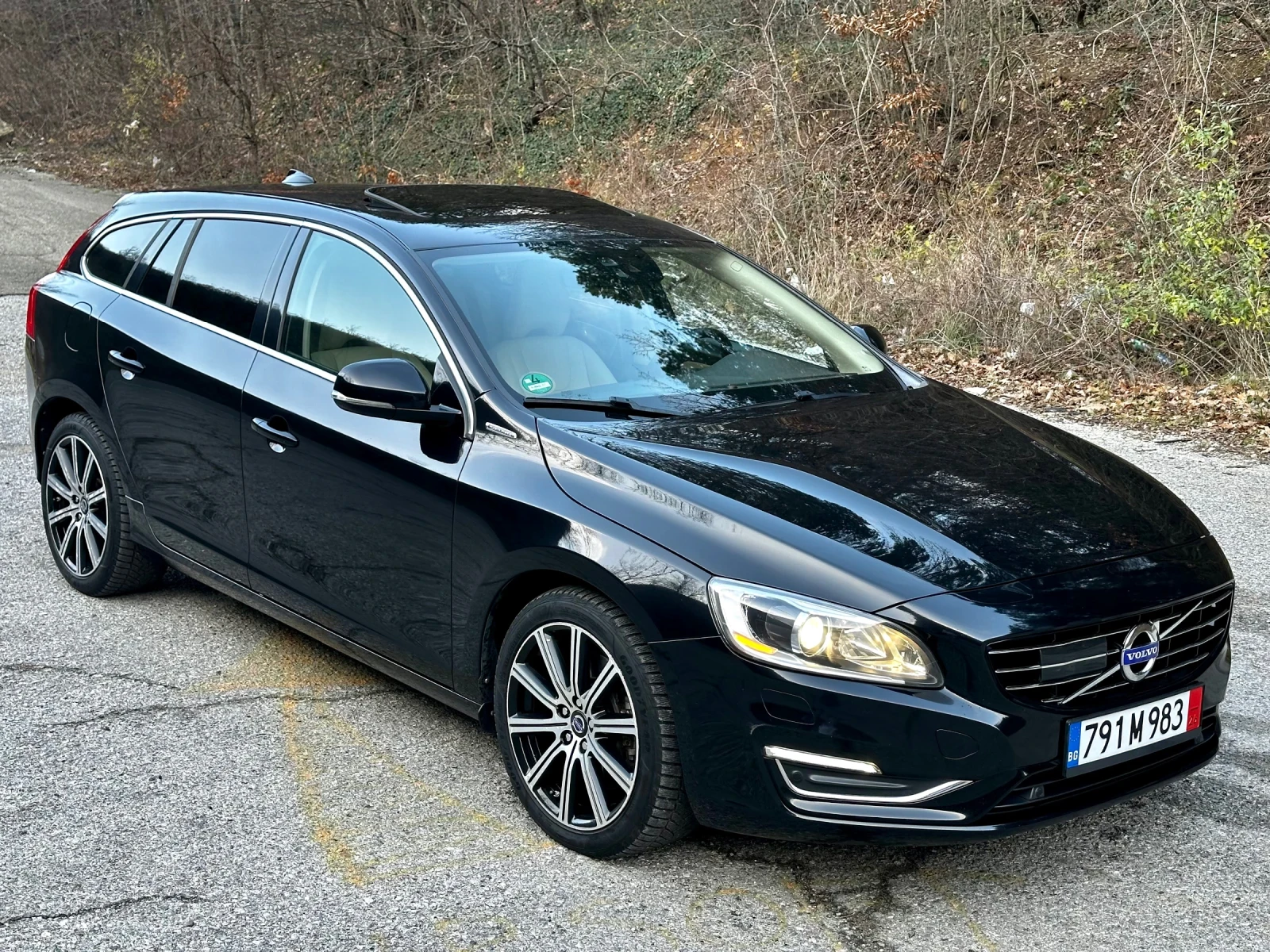 Volvo V60 2.4D6 Plug-In/Дистроник/Line assist/4x4, снимка 1
