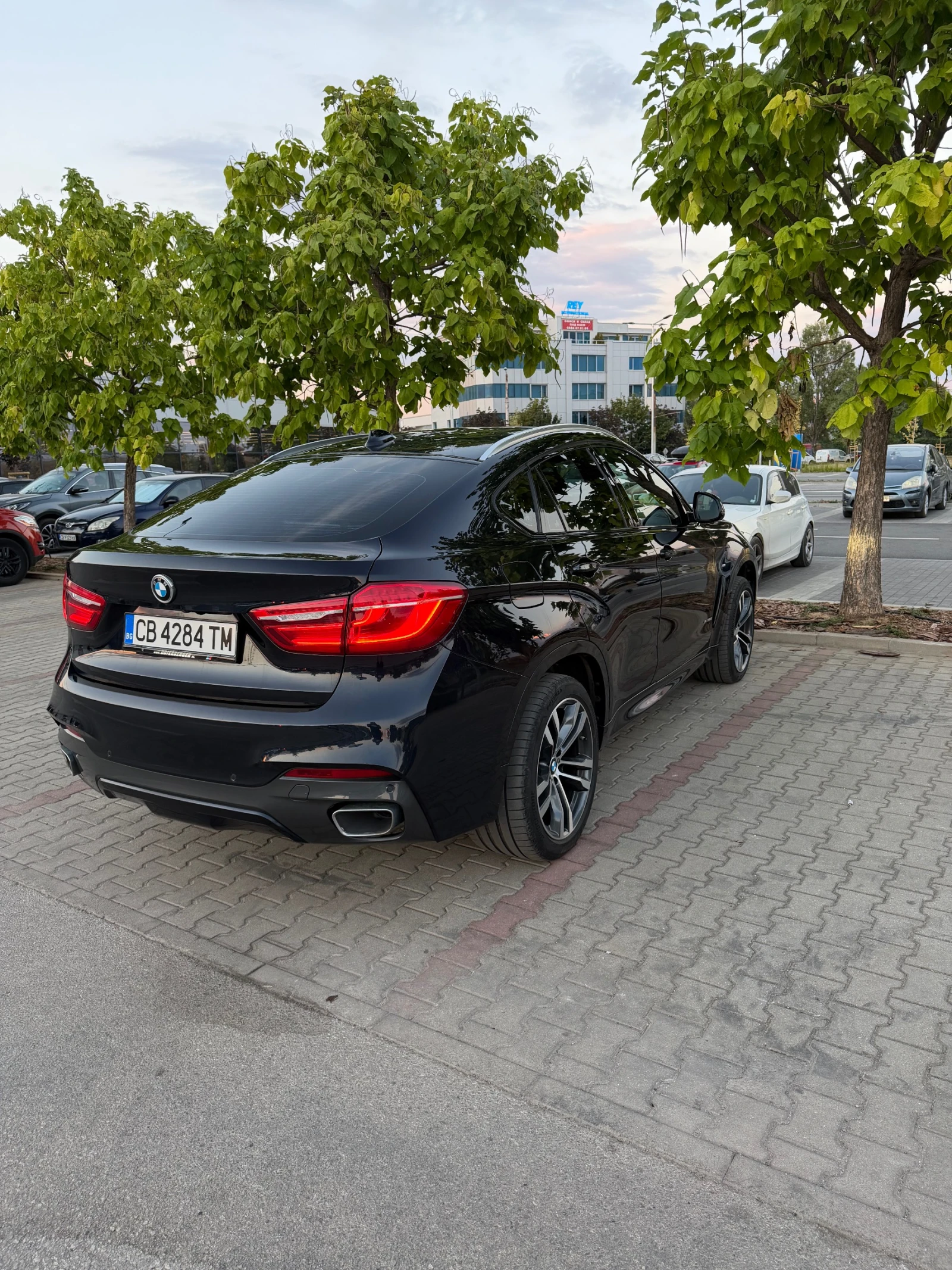 BMW X6 3.0 , снимка 3 - Автомобили и джипове - 55783340