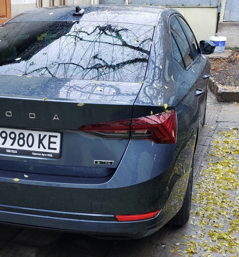 Skoda Octavia 1.5 TSi 7-DSG MILD HIBRID, снимка 3 - Автомобили и джипове - 49221014