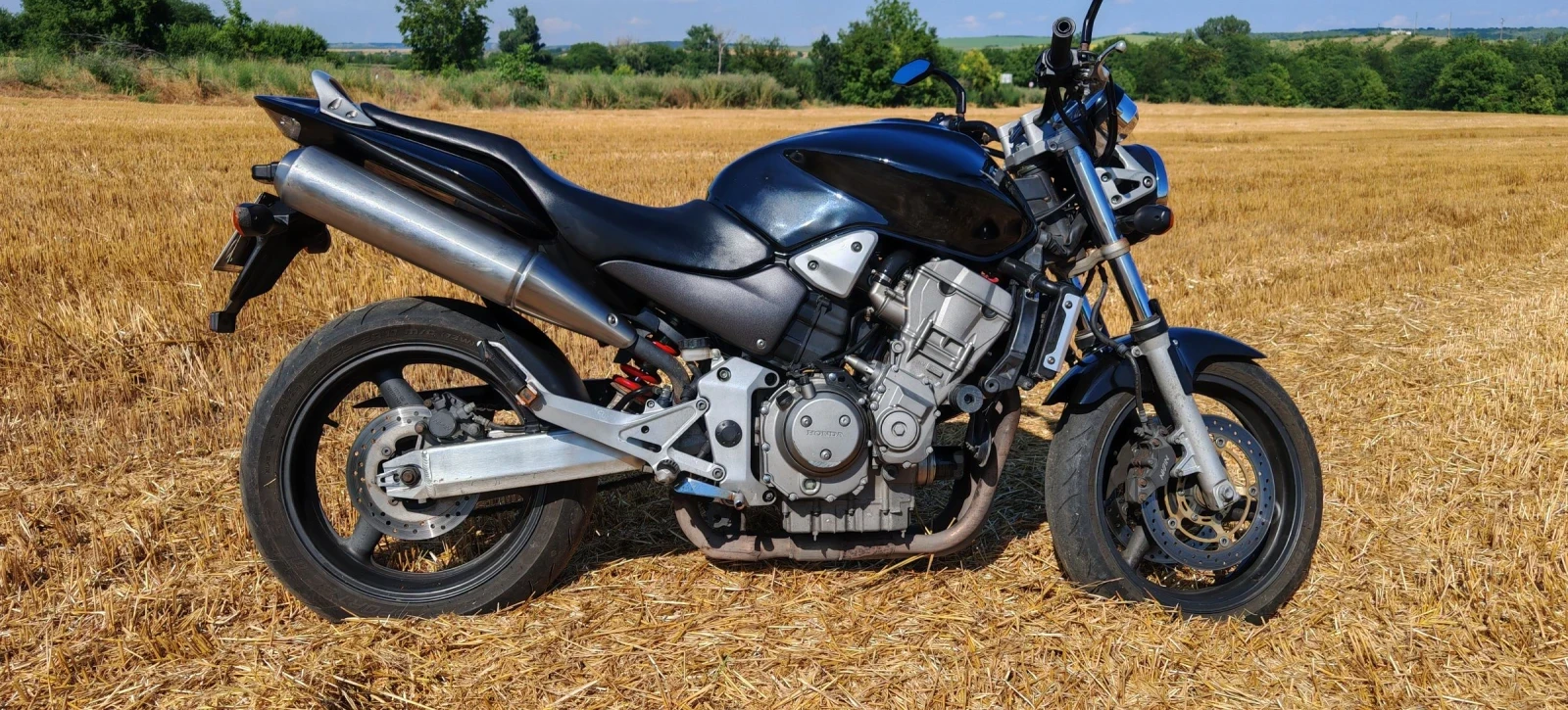Honda 919 Hornet CB919F