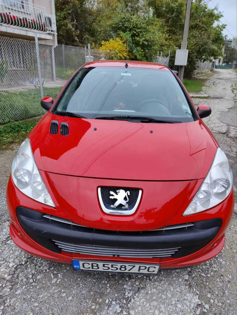 Peugeot 206 206+ , снимка 1 - Автомобили и джипове - 47565687