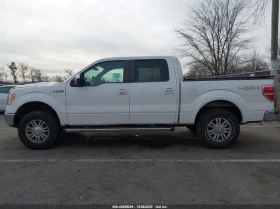 Ford F150 5.0L V-8 DOHC, VVT, 360HP 4X4 Drive - 14800 лв. / 7567.12 € - 53160658 6