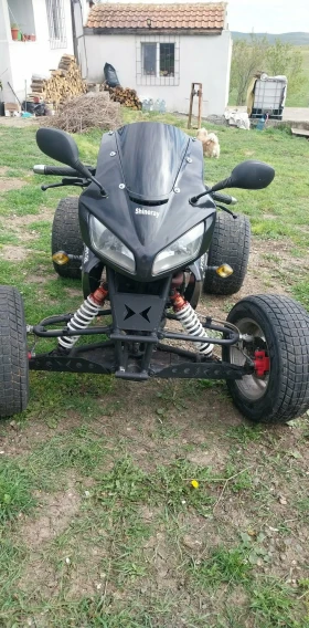 Shineray XY 350 | Auto.bg — изображение 2