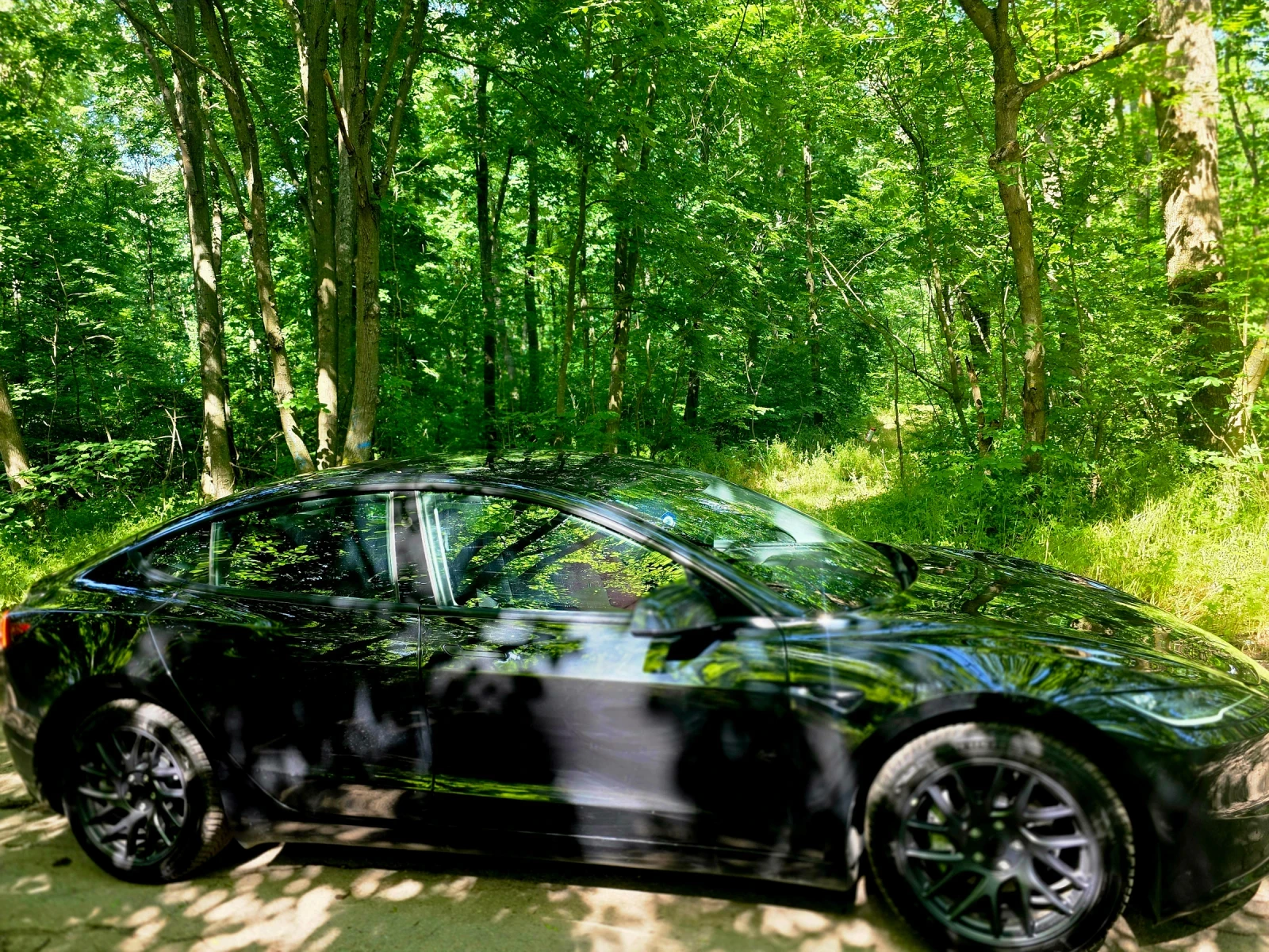 Tesla Model 3, снимка 11 - Автомобили и джипове - 55731362