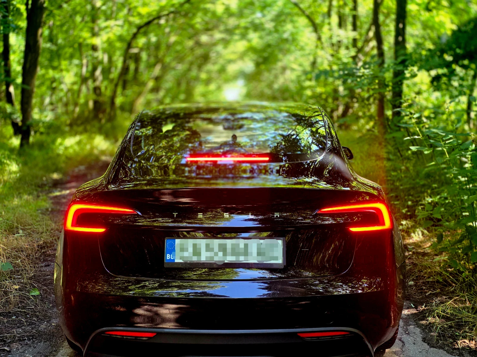 Tesla Model 3, снимка 13 - Автомобили и джипове - 55731362