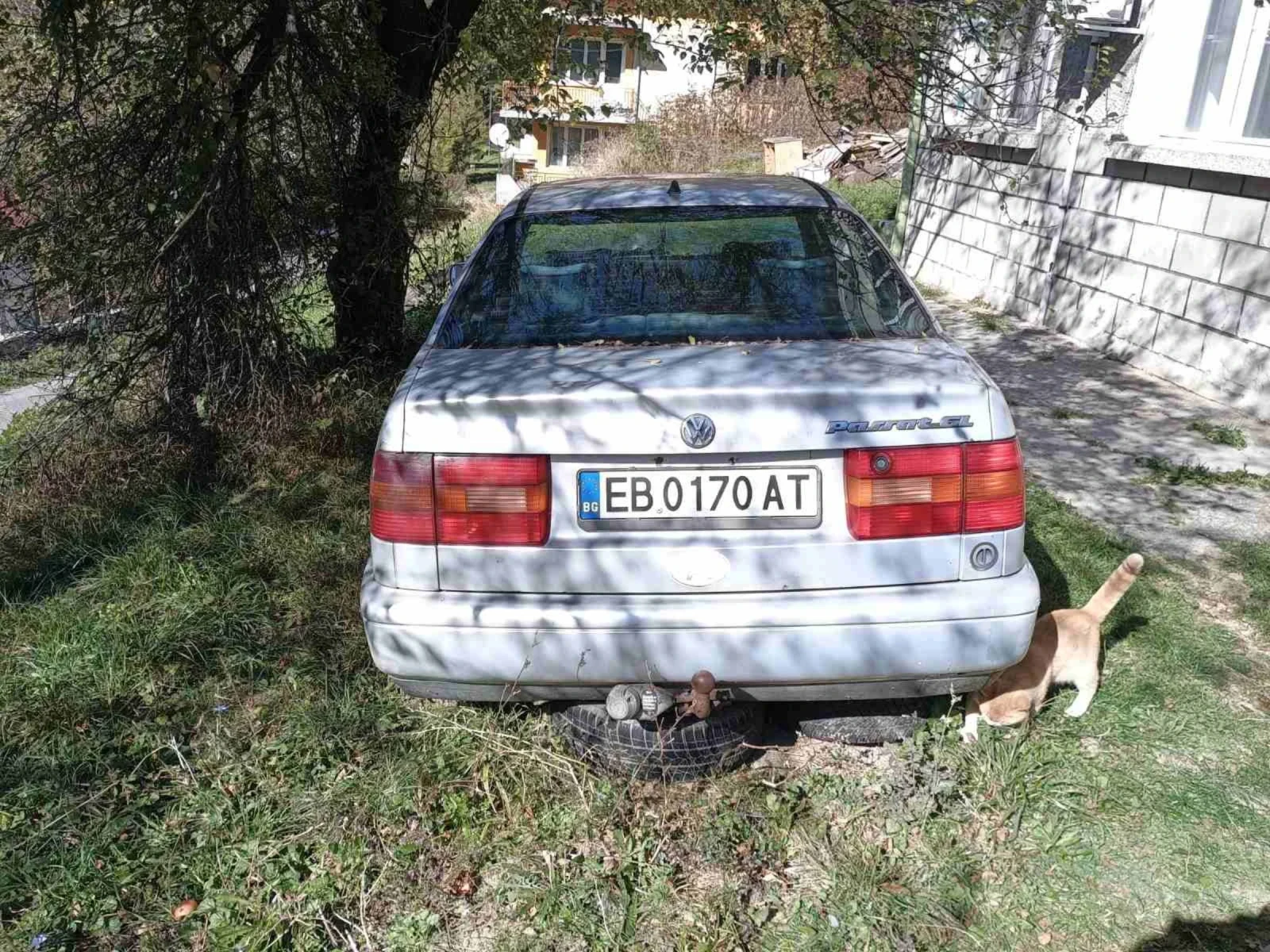 VW Passat  - изображение 2