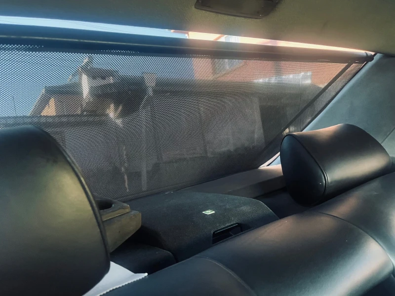 Mercedes-Benz S 500 W140, снимка 16 - Автомобили и джипове - 52365715