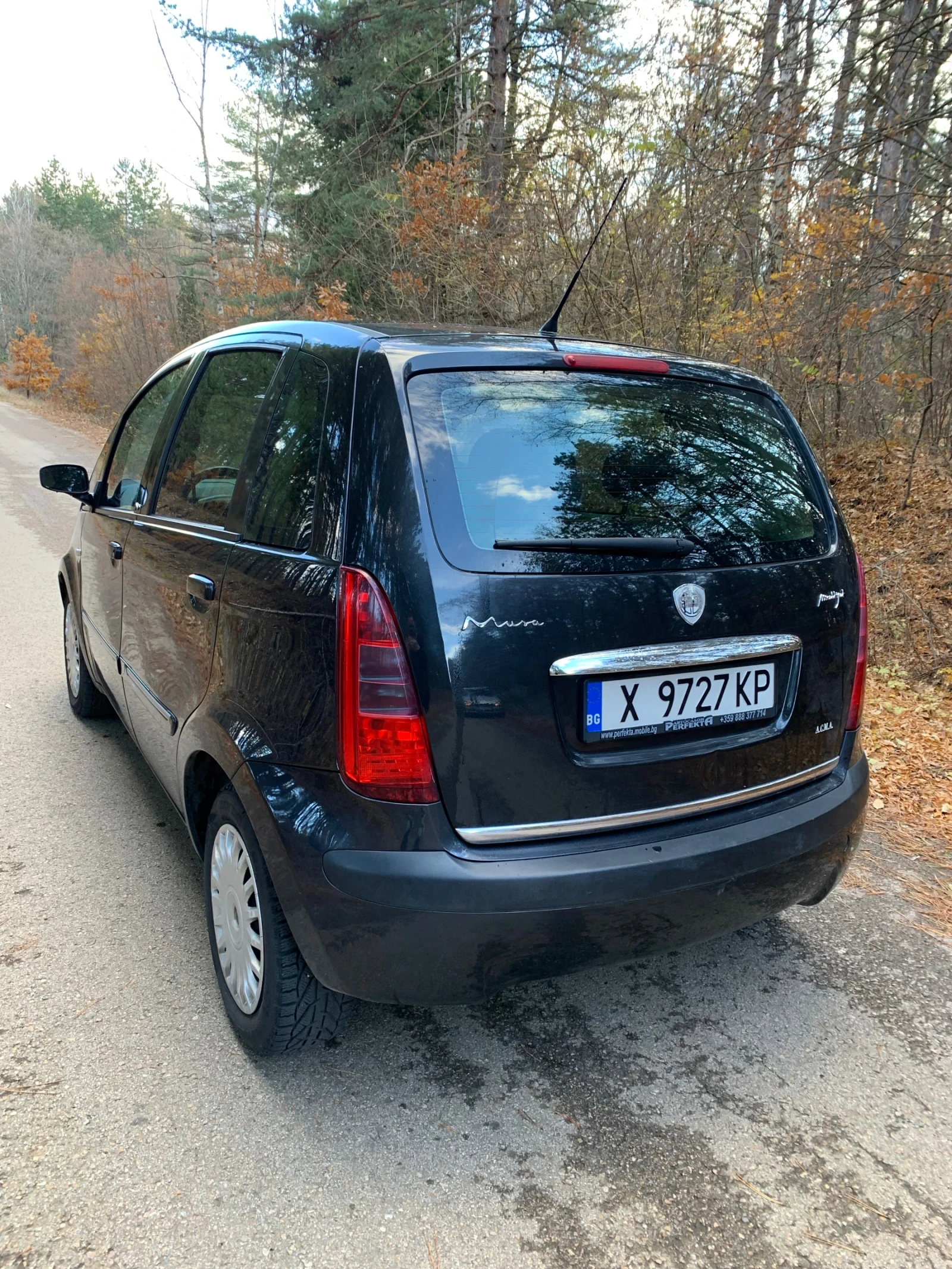 Lancia Musa  - изображение 4