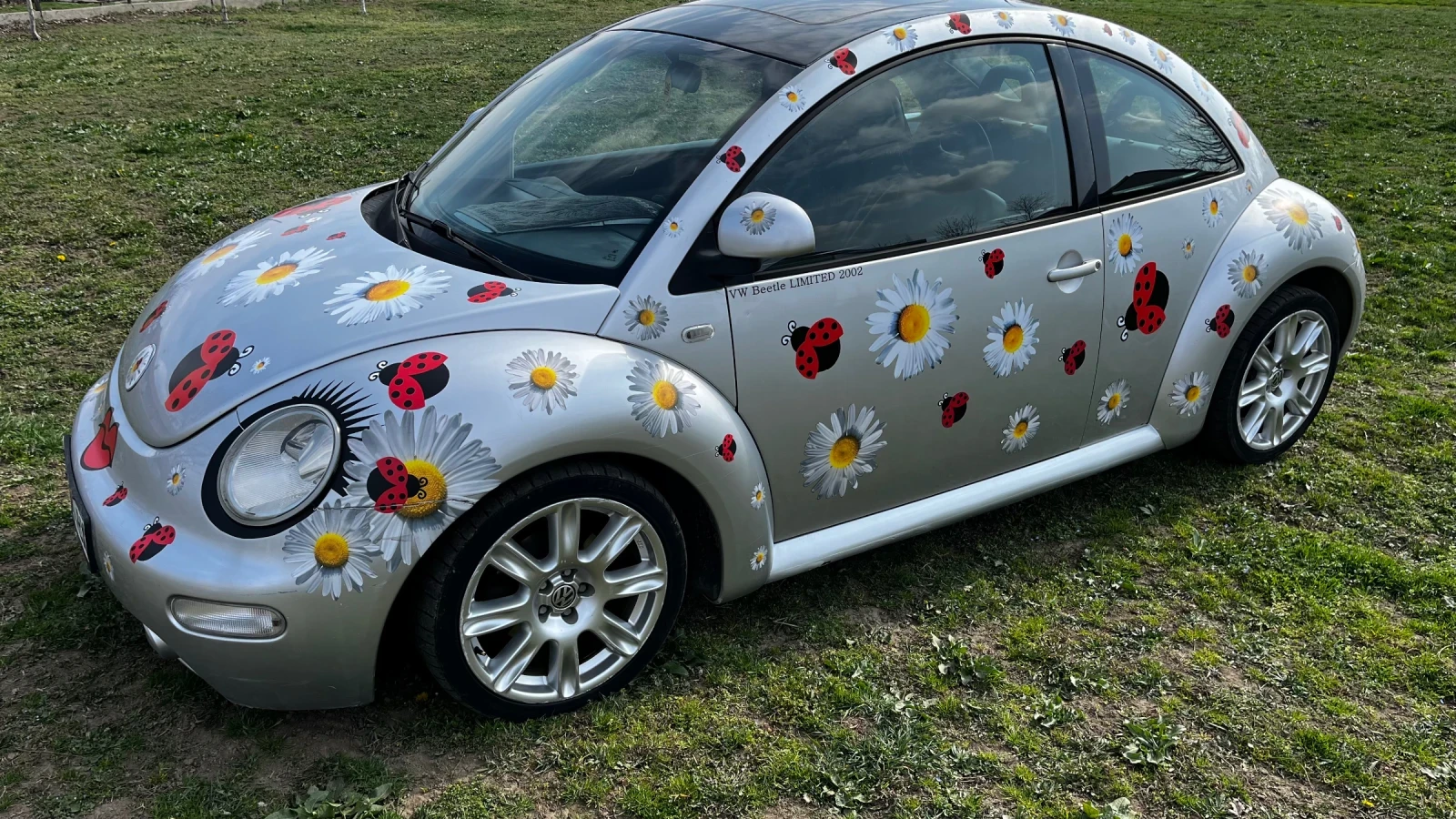 VW Beetle 1.9 TDI 110PS, снимка 10 - Автомобили и джипове - 54129958