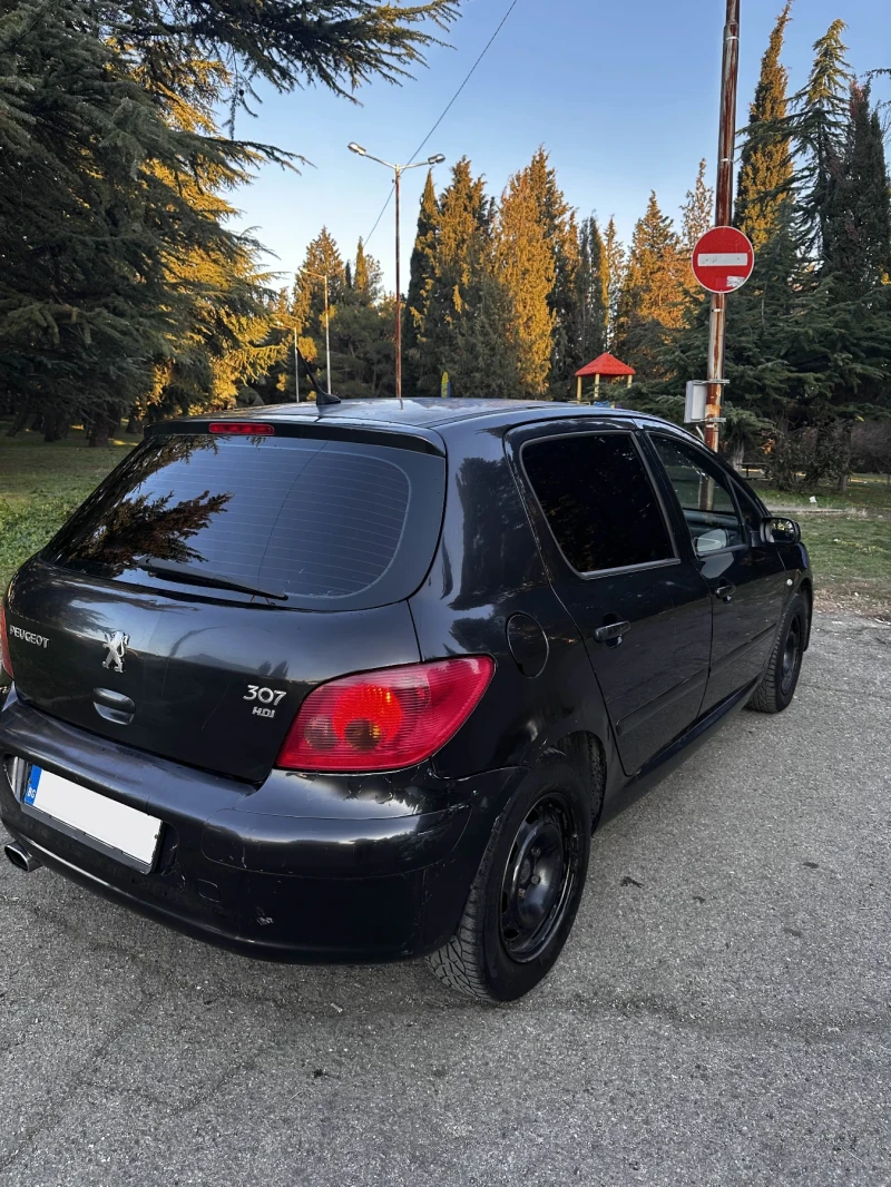 Peugeot 307, снимка 4 - Автомобили и джипове - 49091213