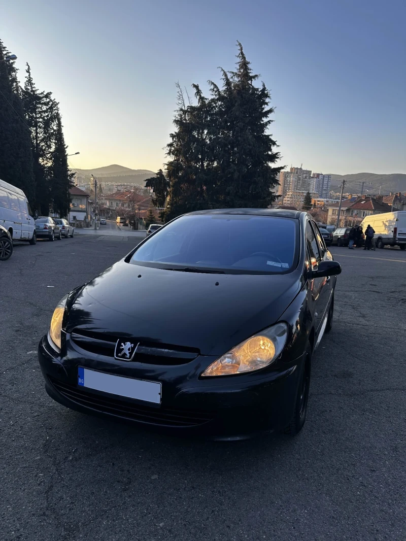 Peugeot 307, снимка 1 - Автомобили и джипове - 49091213