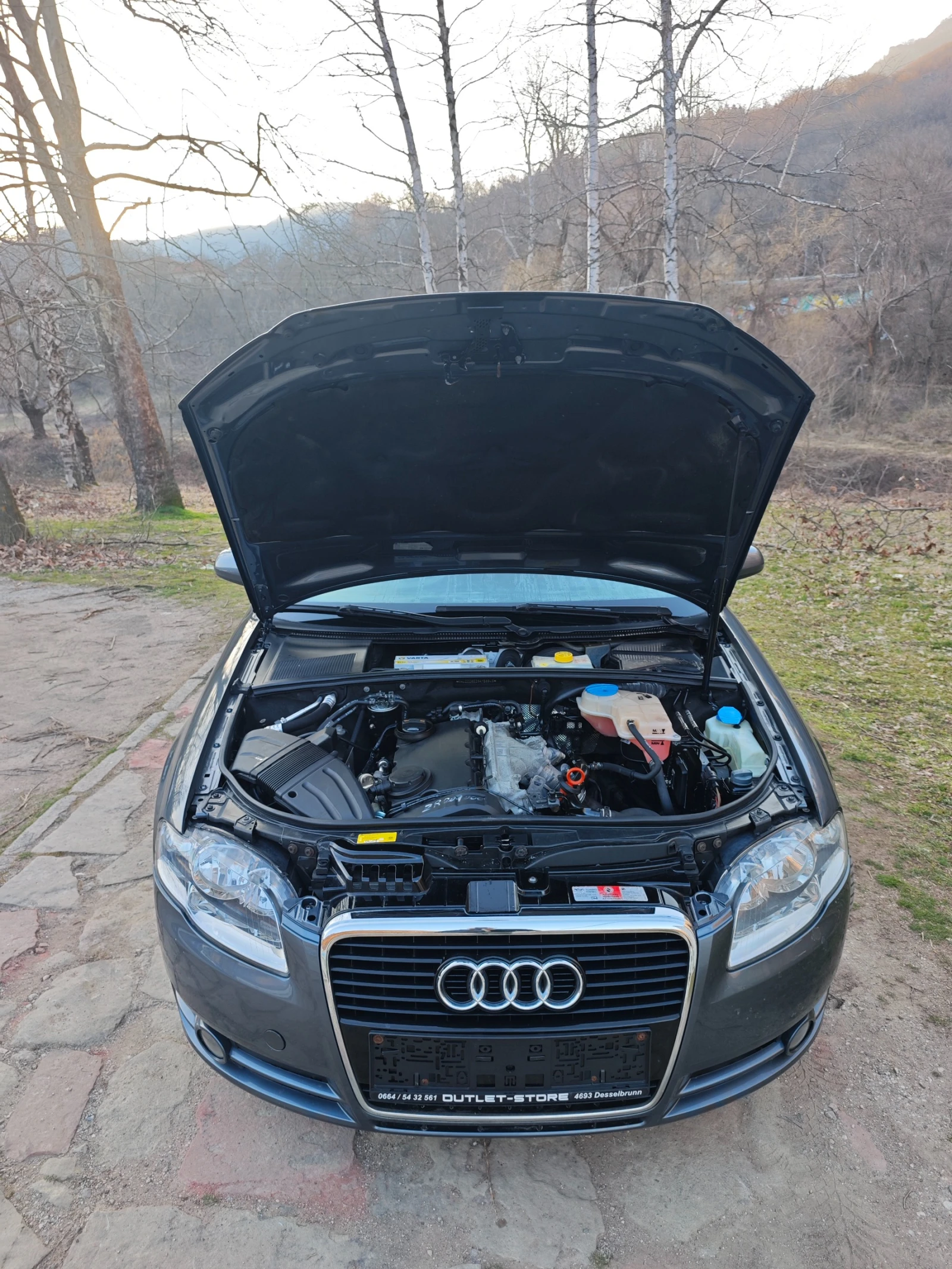 Audi A4 2.0ТДИ НОВ ВНОС, снимка 11 - Автомобили и джипове - 53827838