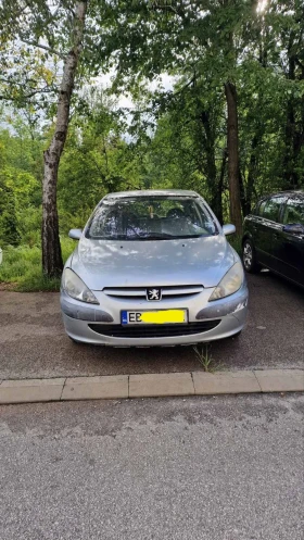     Peugeot 307