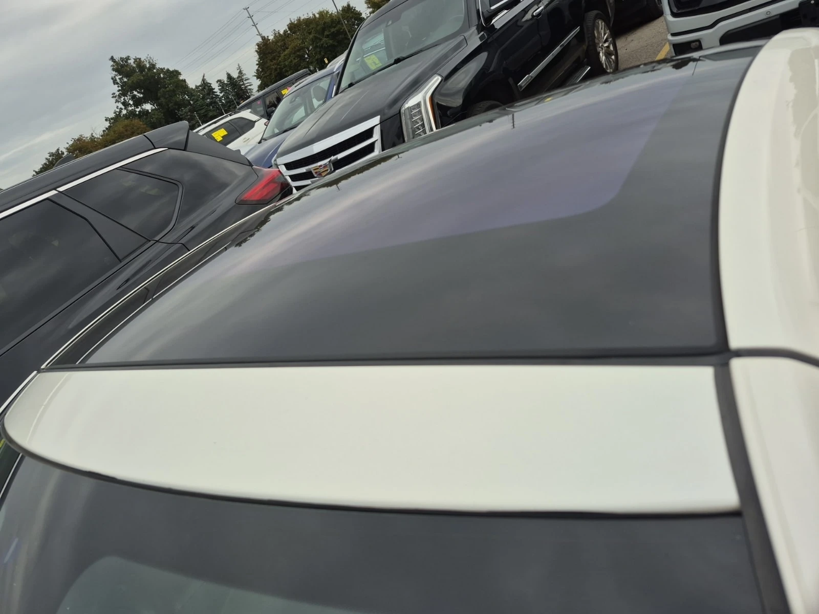 Mercedes-Benz SL 55 AMG * CARFAX * , снимка 7 - Автомобили и джипове - 56132200