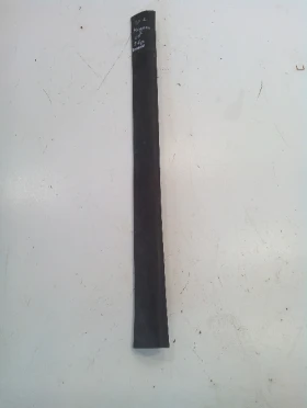 ������ ���� � ��������� ���...