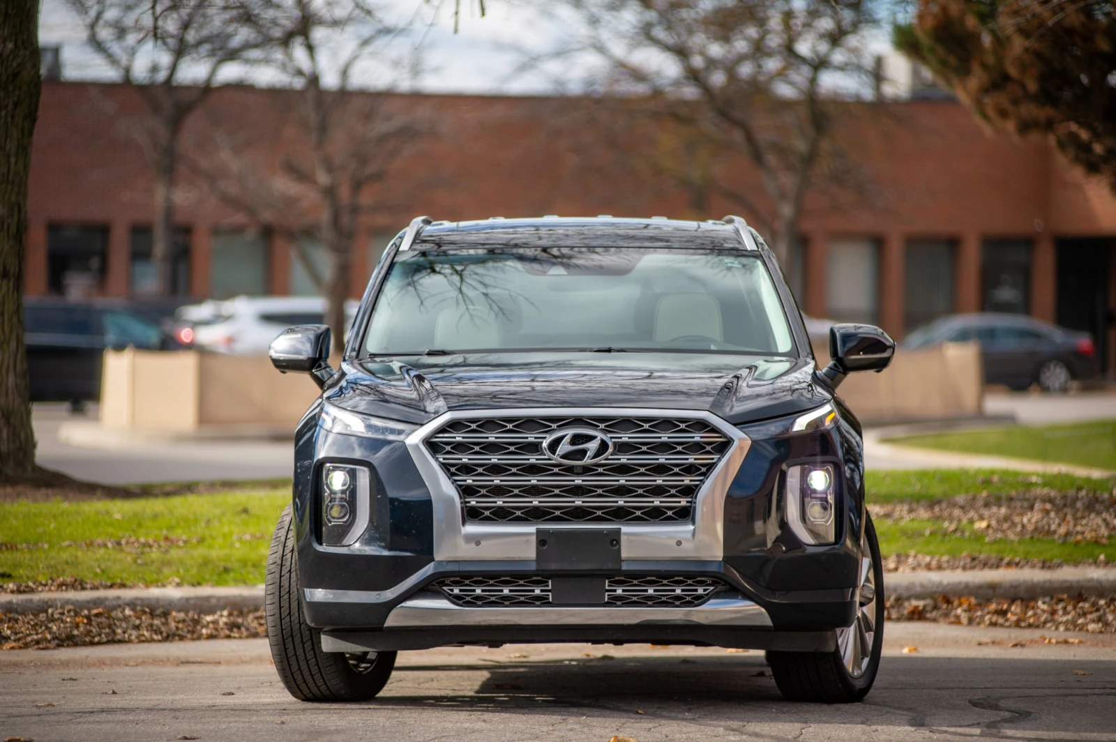 Hyundai Palisade Ultimate* 7-Seater* Head-Up* 360Cam* H&K Sound* Na - изображение 2