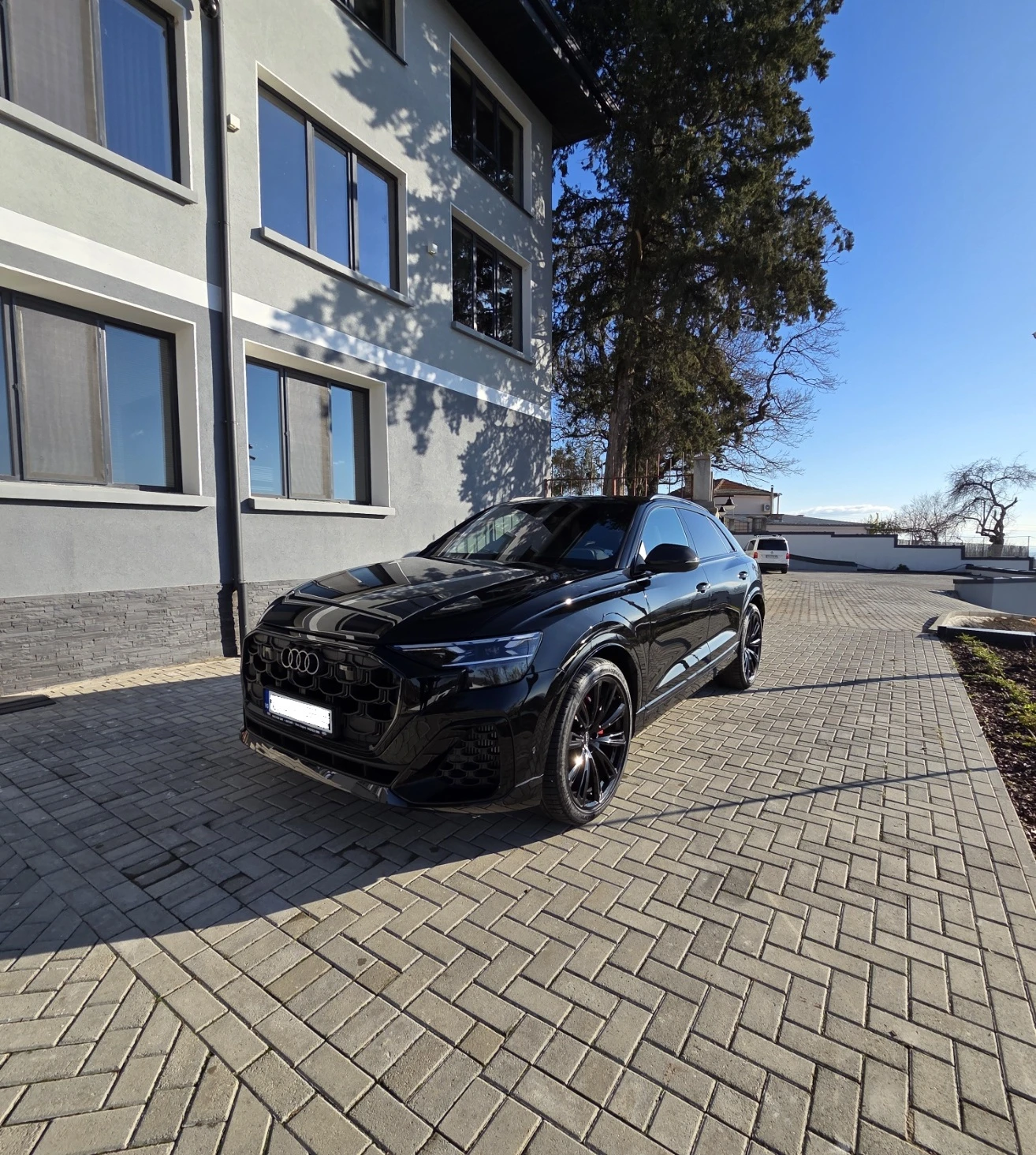 Audi SQ8 4.0 V8 TFSI - изображение 8