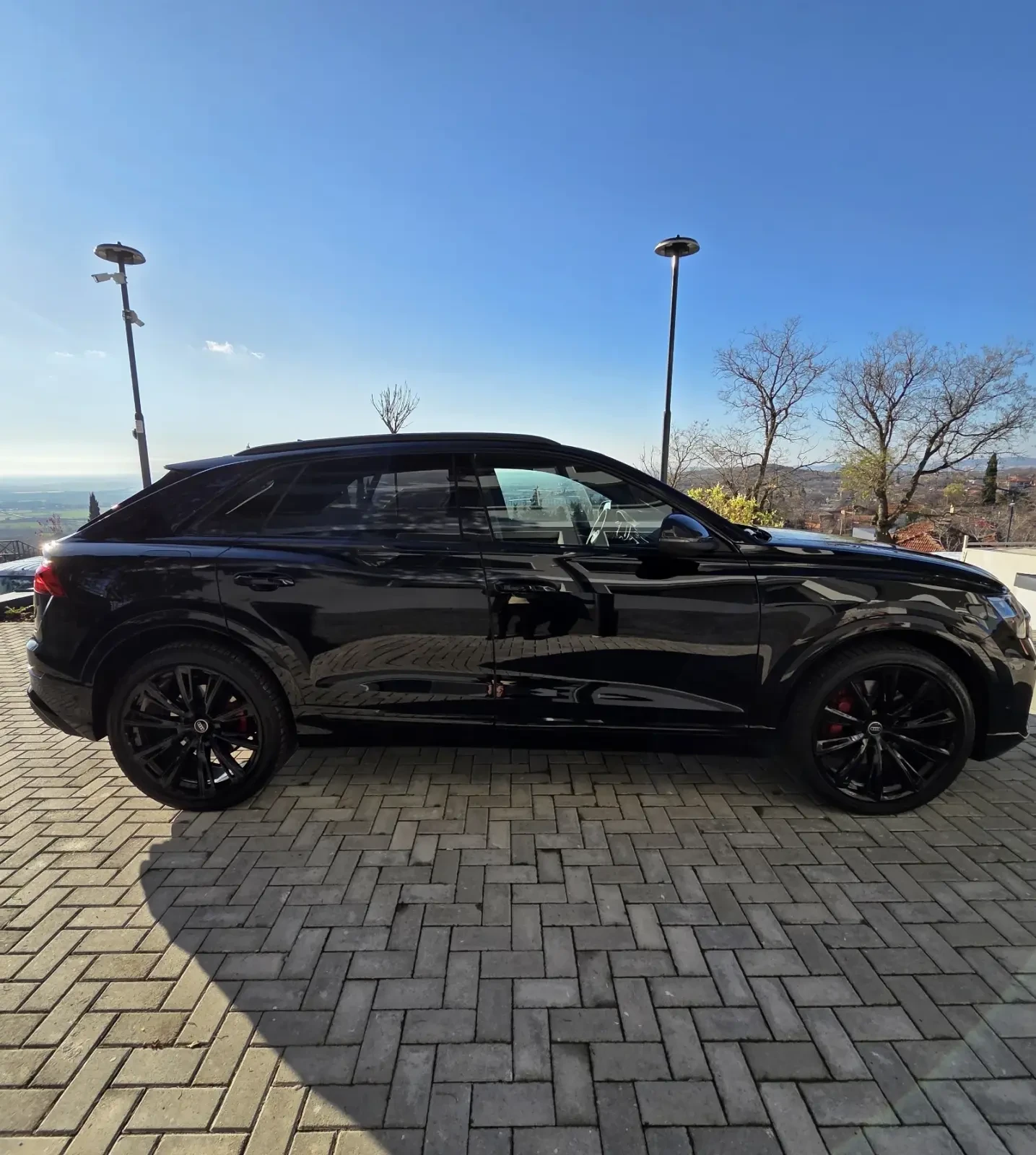 Audi SQ8 4.0 V8 TFSI - изображение 4