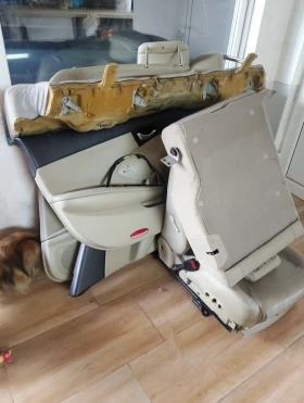 Nissan Primera, снимка 2