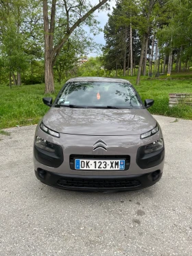 Citroen C4 Cactus, снимка 1