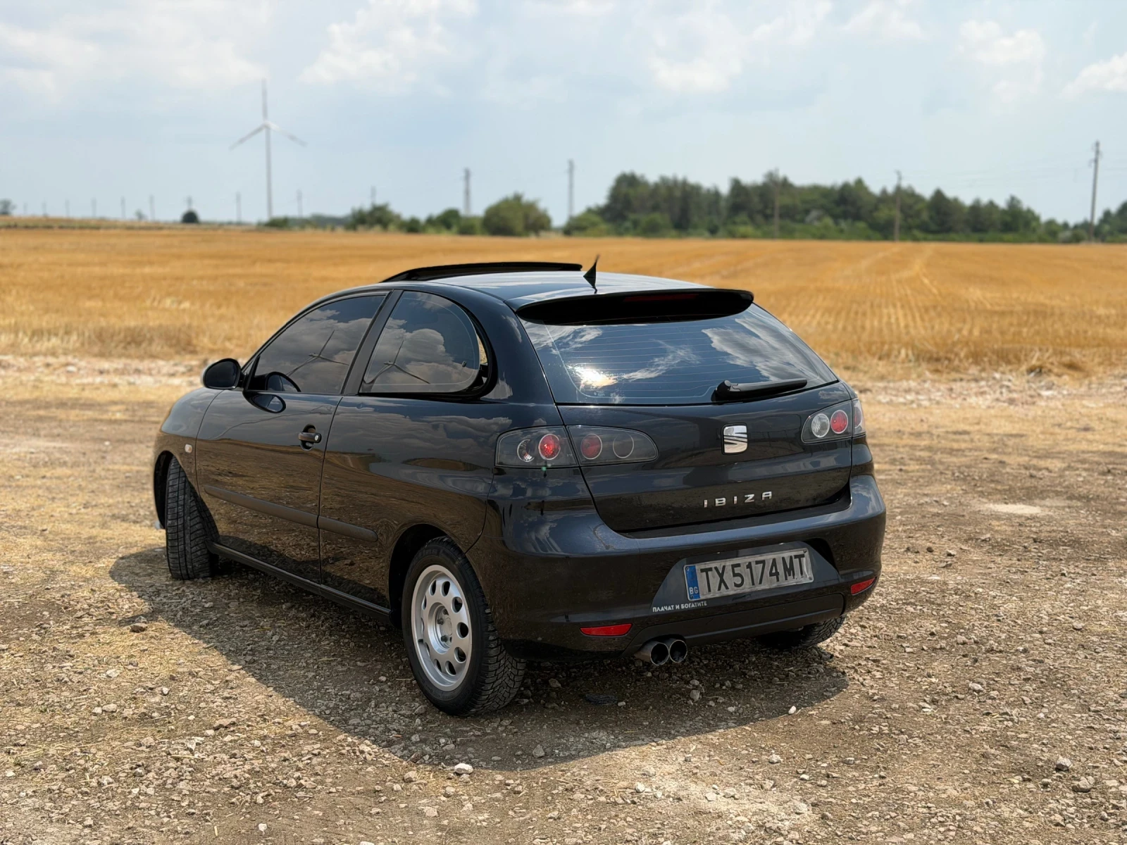 Seat Ibiza 1.9 tdi 101, снимка 5 - Автомобили и джипове - 55200622