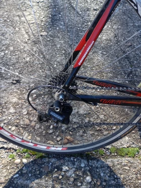  Triestina | Mobile.bg    6