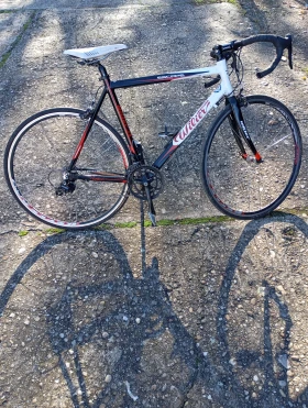  Triestina | Mobile.bg    3