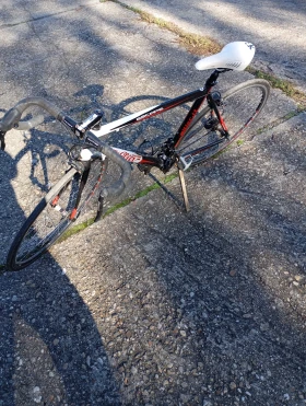  Triestina | Mobile.bg    5