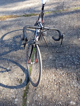  Triestina | Mobile.bg    4