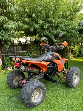 Shineray XY 250, снимка 2