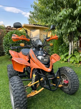 Shineray XY 250, снимка 4