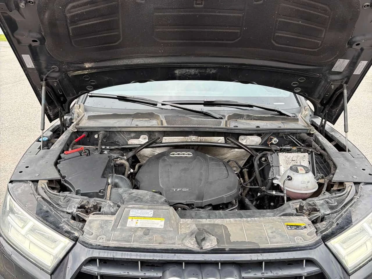 Audi Q5 * Progressiv * CARFAX * ЦЕНА ДО БГ, снимка 13 - Автомобили и джипове - 55470743