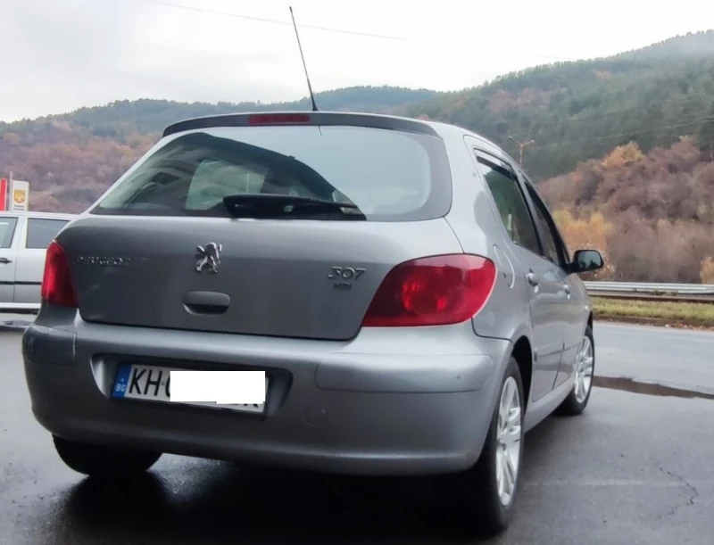 Peugeot 307 307 (3A/C), снимка 9 - Автомобили и джипове - 47958543