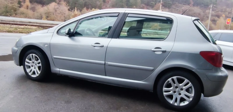 Peugeot 307 307 (3A/C), снимка 8 - Автомобили и джипове - 47958543