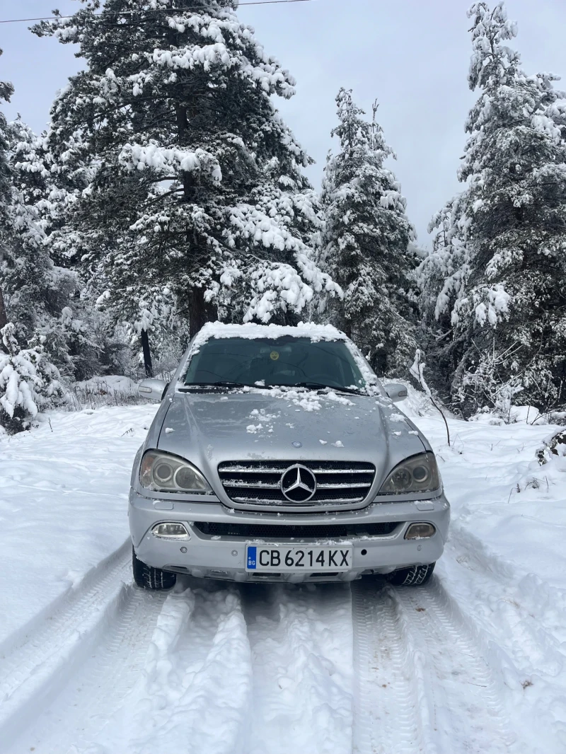 Mercedes-Benz ML 270, снимка 2 - Автомобили и джипове - 53333684