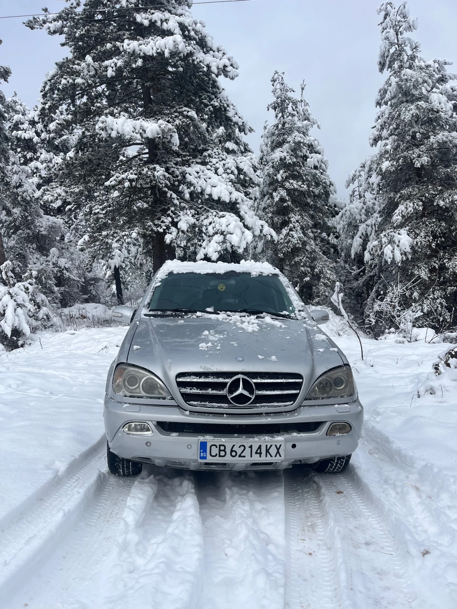Mercedes-Benz ML 270 | Mobile.bg � ����������� 2
