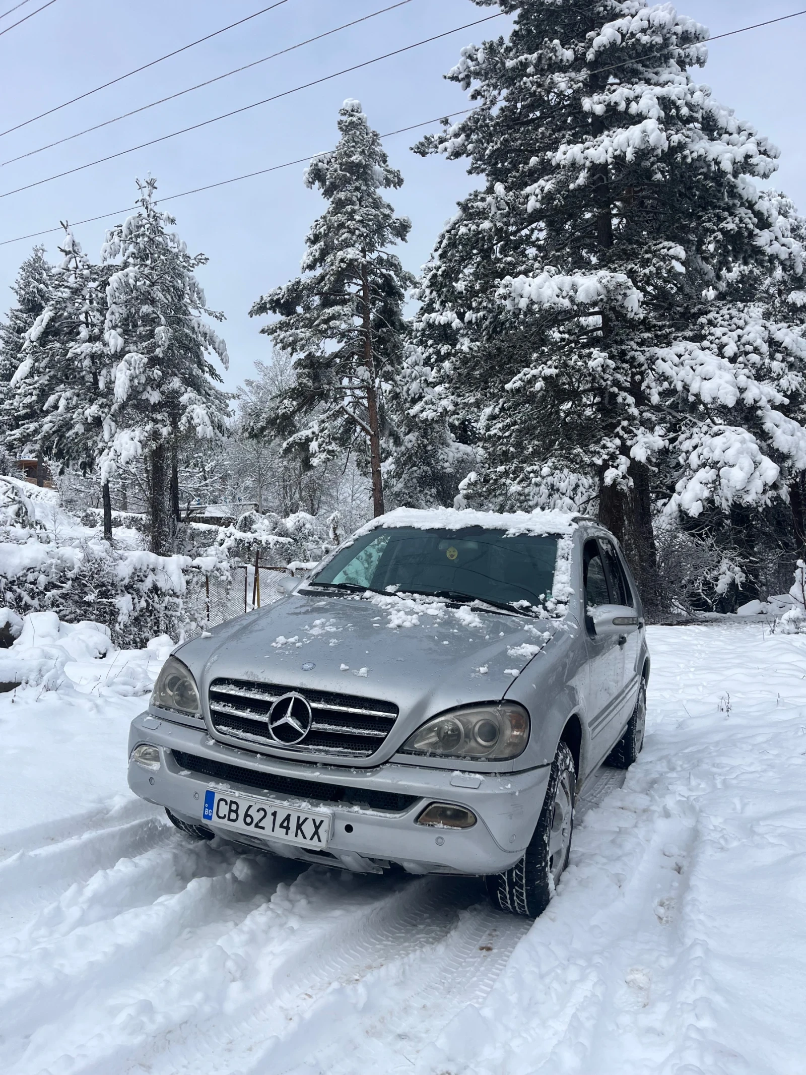 Mercedes-Benz ML 270 | Mobile.bg � ����������� 1