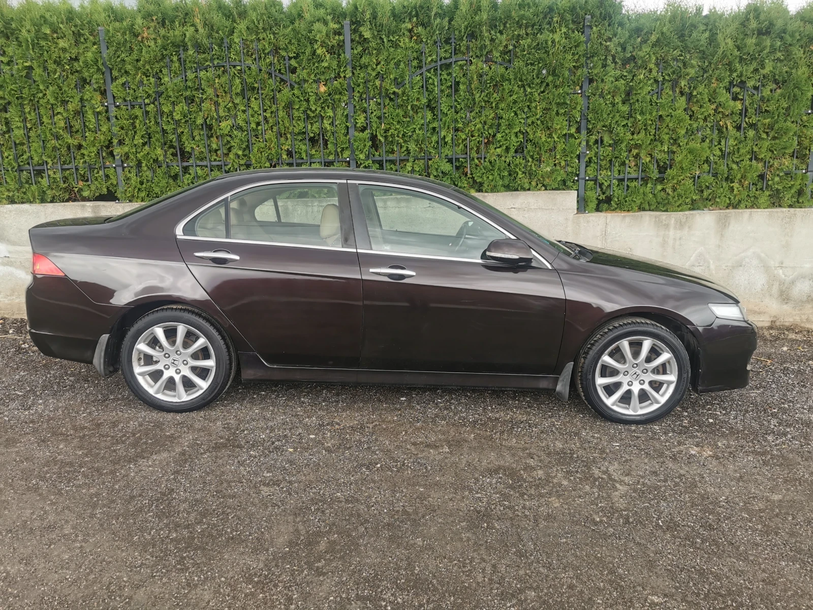 Honda Accord 2.4 executive  - изображение 4
