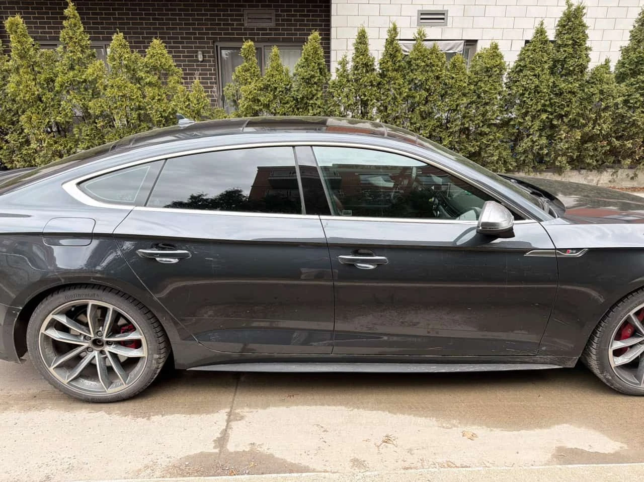 Audi S5 * Progressiv * CARFAX * ������ ����� * ������� *  | Mobile.bg � ����������� 3