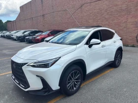 ������ Lexus NX