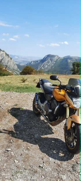 Honda Hornet PC41, снимка 1