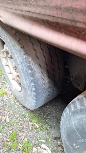 ����������� Schmitz | Mobile.bg � ����� ������ 6