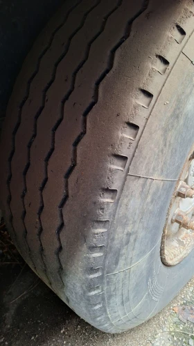 ����������� Schmitz | Mobile.bg � ����� ������ 10