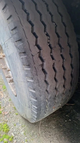 ����������� Schmitz | Mobile.bg � ����� ������ 11