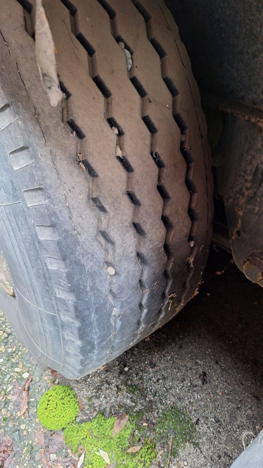 ����������� Schmitz | Mobile.bg � ����������� 7